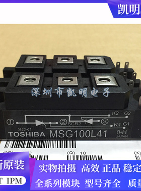 MSG100L41 MSG100L41A MSG60L41 MSG60L41A MSB180S43C MG60L41A