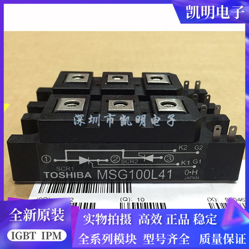 MSG100L41 MSG100L41A MSG60L41 MSG60L41A MSB180S43C MG60L41A