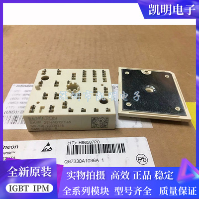 SKIIP22NAB12T18 SKIIP22NAB12T17 SKIIP22NAB12IT45 SKIIP20NAB