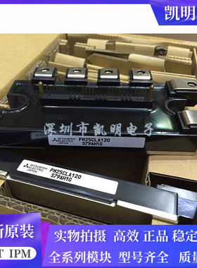 PM25CLA120 PM50CL1A120 PM75CLB120 PM75RL1A20 PM100RLB060