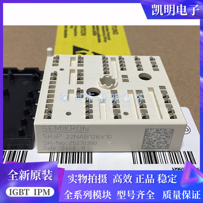 SKIIP22NAB126V10 SKIIP23NAB126V1 SKIIP23NAB12T4V1 SKIIP28ANB