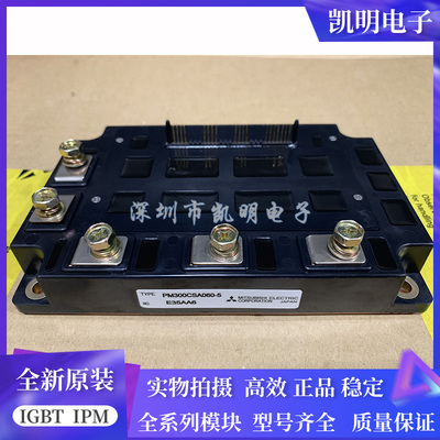 PM200RSA060 PM300CSA060 PM300CSA060-5 PM200CSA060