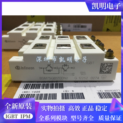 BSM50GB170DN2 BSM75GB170DN2 SKM75GB173D SKM100GB176D 145GB17