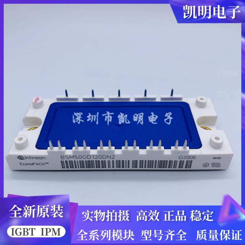 BSM50GD120DN2 BSM75GD120DN2 BSM100GD120DN2 BSM100GD60DLC