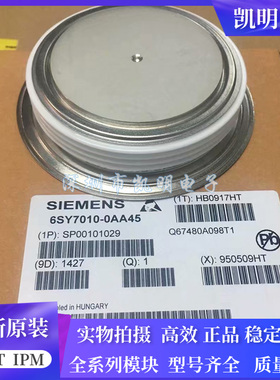 6SY7010-0AA41 6SY7010-0AA46 6SY7010-0AA44 6SY7010-0AA45 现货