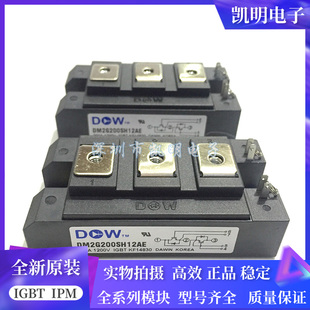 DM2G200SH12AE DM2G300SH12AE DM2G150SH12AE DM2G100SH12AL原装