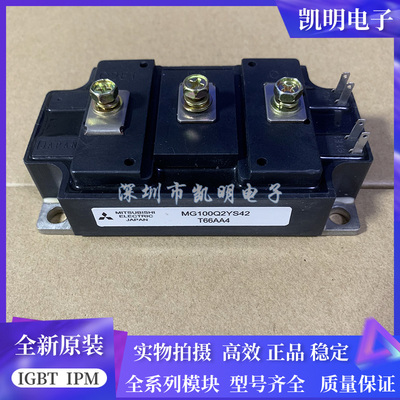 全新MG100Q2YS42 MG150Q2YS40 MG200Q2YS50 MG300Q2YS61 2YS65H