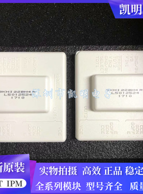 SKHI22AH4R SKHI22BH4R SKHI22R SKHI22R SKHI22A SKHI22AH4咨询