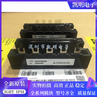 PM100CBS060 PM200CBS060 PM300CBS060 PM75CBS060 PM50CBS060