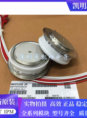 6SY7010-0AA41 6SY7010-0AA42 6SY7010-0AA38 6SY7010-0AA21 全新