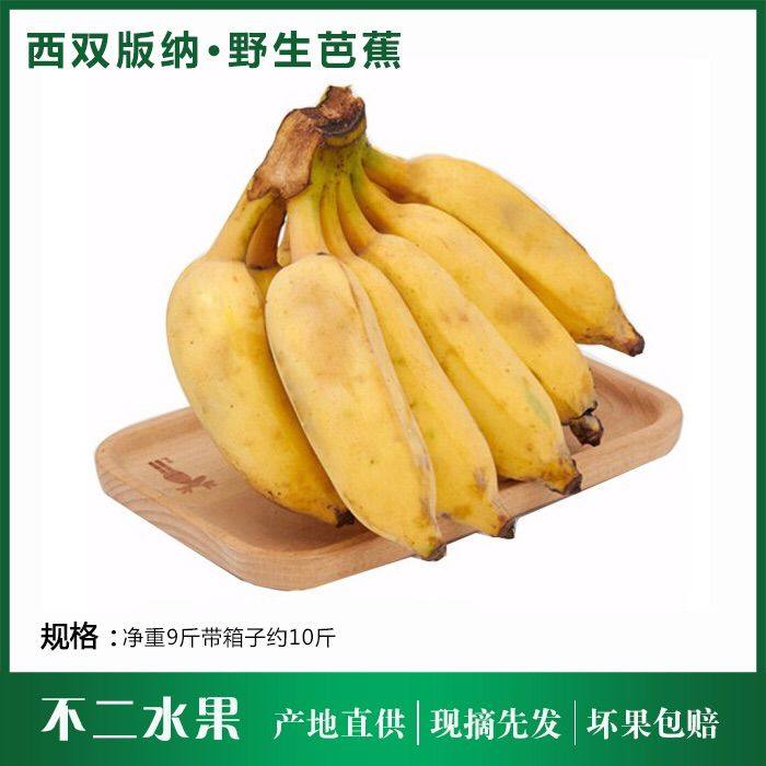 云南新鲜野生芭蕉现摘现发大香蕉热带水果自然熟正宗芭蕉9斤包邮,水产肉类/新鲜蔬果/熟食,香蕉,淘宝优惠券,粉丝福利购,淘宝优惠卷