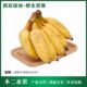 云南新鲜野生芭蕉现摘现发大香蕉热带水果自然熟正宗芭蕉9斤 包邮