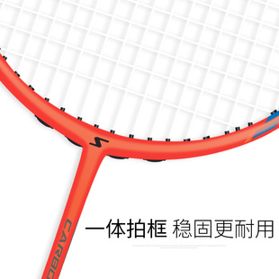 成人专业训练 羽毛球拍全碳素超轻耐用型纤维单双拍正品 套装