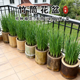 竹筒花盆干竹筒毛竹筒旧粗竹筒阳台种菜盆花盆多肉盆装饰老楠竹筒