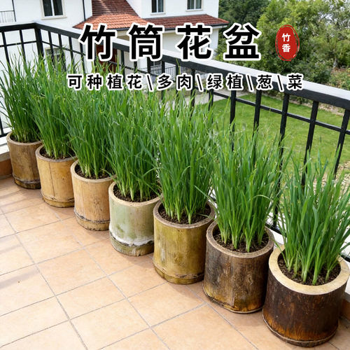 竹筒花盆干竹筒毛竹筒旧粗竹筒