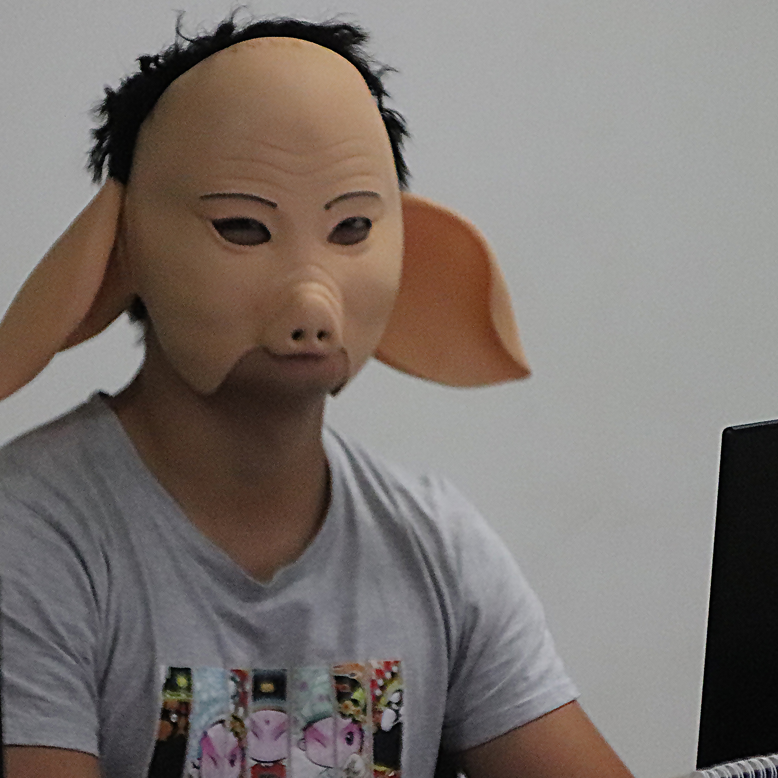 高档猪八戒演出服装道具全套成人