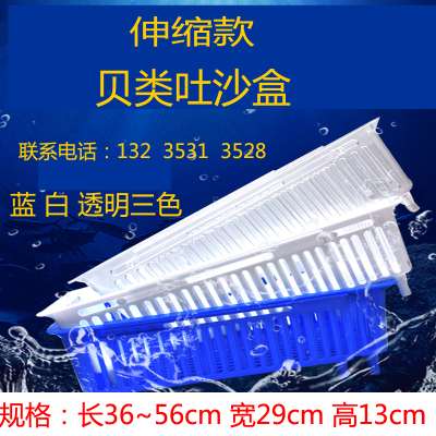 吐沙盒贝类塑料透明白花加深争渡