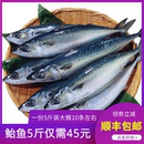 新鲜鲐鲅鱼 5斤青占鱼燕鱼青花鱼生鲜食材 整条海鲜活冷冻