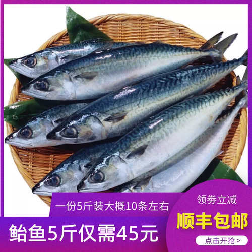 新鲜鲐鲅鱼 整条海鲜活冷冻 5斤青占鱼燕鱼青花鱼生鲜食材 - 封面