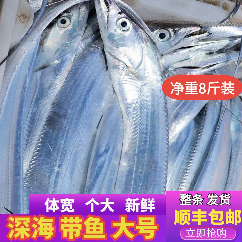 新鲜特级 大带鱼冷冻 整条大钓带鱼刀鱼带段鱼整条连云港海鲜水产