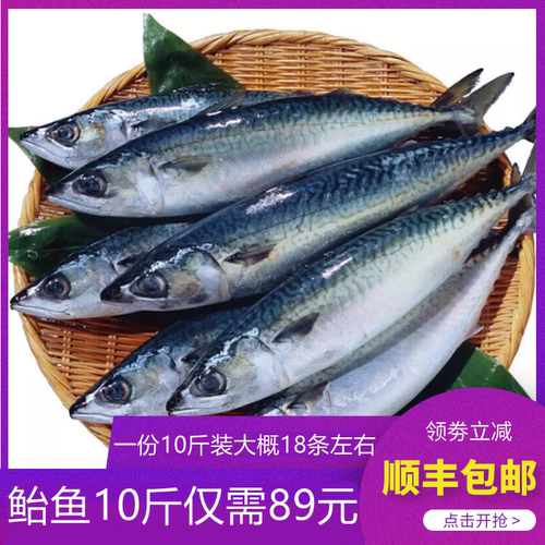 新鲜鲐鲅鱼整条海鲜活冷冻 10斤青占鱼燕鱼青花鱼生鲜食材-封面