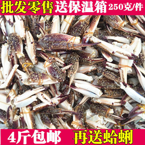 海鲜鲜活速冻蟹爪冷冻梭子蟹脚冰鲜蟹钳蟹腿新鲜速冻蟹腿250g