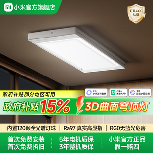 小米官旗米家智能晾衣机2Pro电动晾衣架隐形升降折叠3D曲面穹顶灯