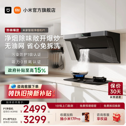 <咨询享福利>净烟机P1