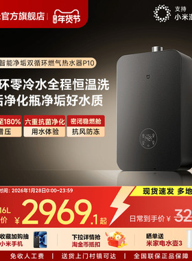 小米官方米家智能燃气热水器P10家用天然气净垢双循环恒温MJ06