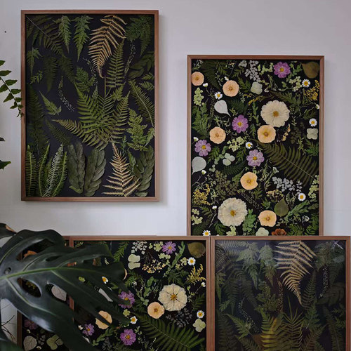 植物标本装饰画蕨叶绿色DIY挂画