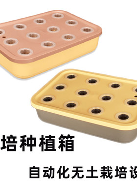 新手时尚简约水培种植盆