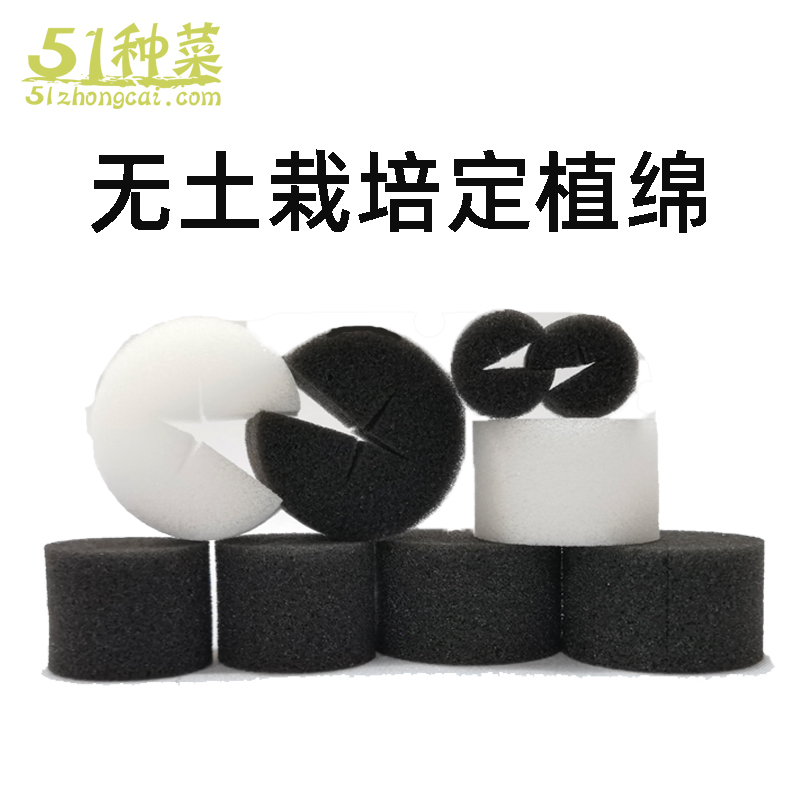 圆形定植绵水培十字种菜育苗