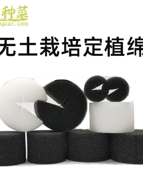 圆形定植绵水培海绵十字种菜定植海绵育苗海绵30MM45MM50MM60MM25