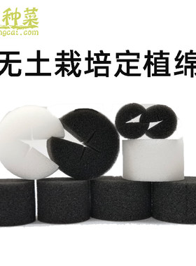 圆形定植绵水培十字种菜育苗