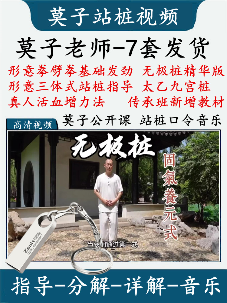 莫子无极桩精华班形意拳劈拳基础发劲太乙桩三体式站桩指导付洪波 办公设备/耗材/相关服务 刻录盘个性化服务 原图主图