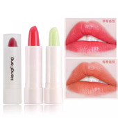 恒芳水果渐变色唇膏保湿 滋润防水持久不沾杯学生女口红四种香型