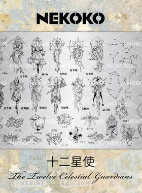 新款极繁爱神十二星使图案美甲印花钢板转印专用工具