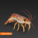 罗氏虾大头虾模型建模虾模型龙虾模型建模三维模型3D通用模型927