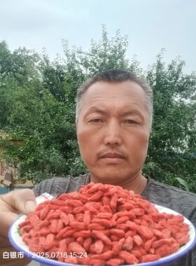 公元2026头茬枸杞种了半辈子枸杞靖远枸杞农人自产有出口德国订单