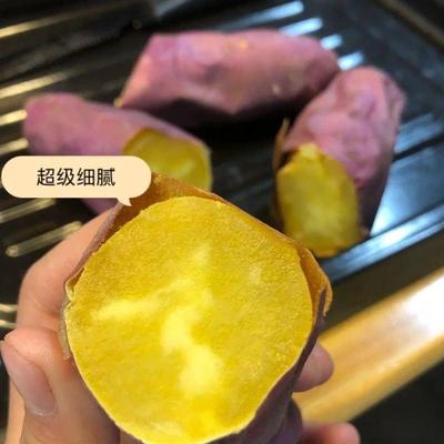 新鲜现挖云南高原塔塔蜜红薯黄心蜜薯地瓜超甜无丝辅食甜好吃