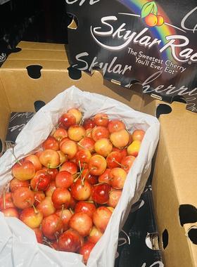 澳洲空运斯卡拉雷天空之城金车黄金车厘子skylar rae新鲜4斤原箱