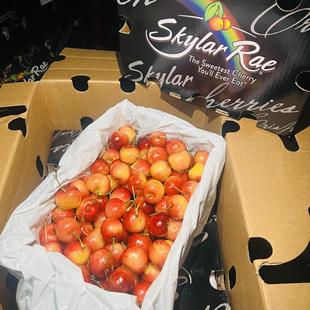 澳洲空运斯卡拉雷天空之城金车黄金车厘子skylar rae新鲜4斤原箱