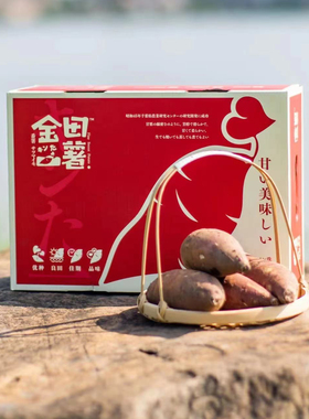 日系祖师爷甄红瑶日本品种红薯山芋金田一薯香甜入口即化柔滑好吃