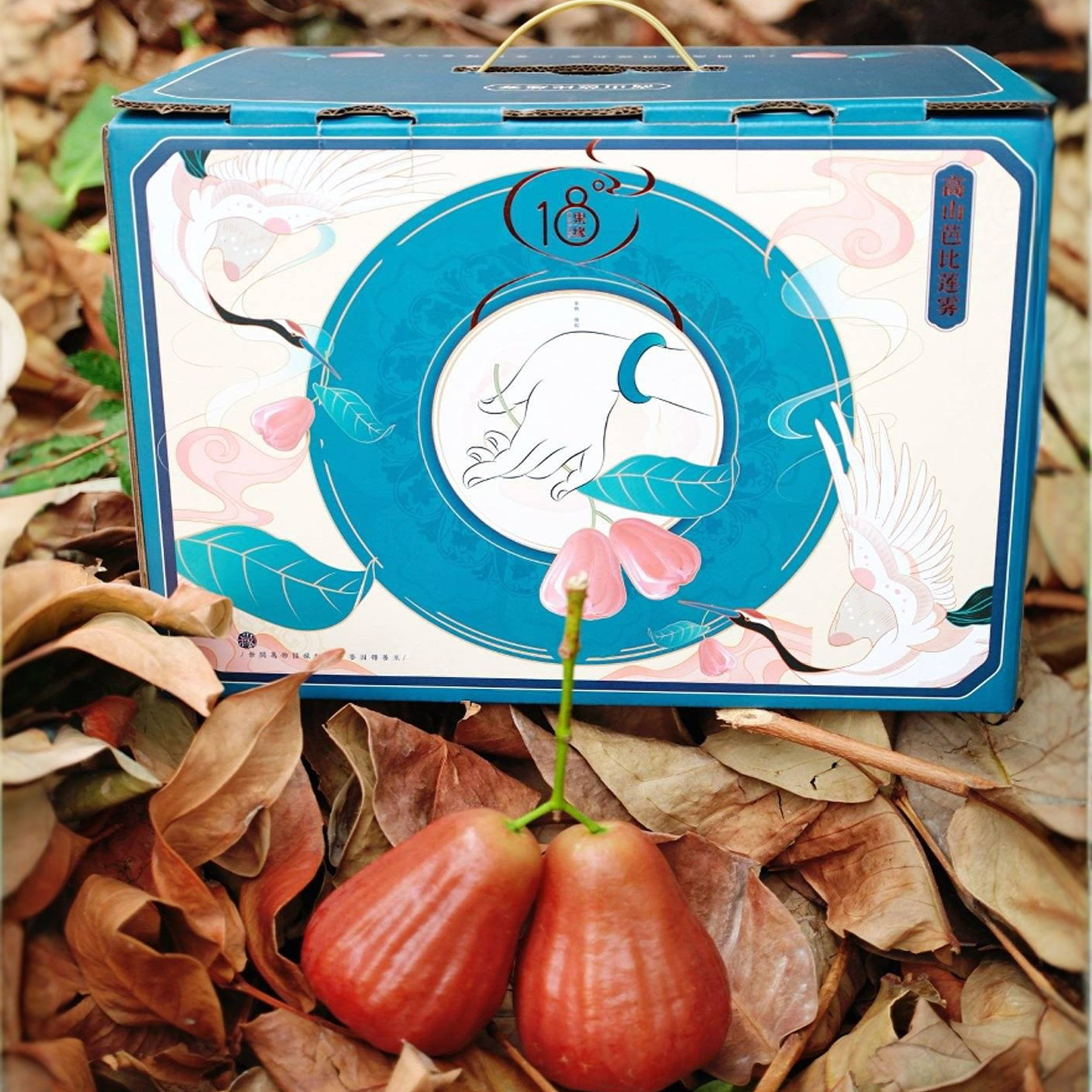 18度果缘黑糖芭比莲雾3斤礼盒装新鲜水果当季时令孕妇水果现摘,水产肉类/新鲜蔬果/熟食,莲雾,淘宝优惠券,粉丝福利购,淘宝优惠卷