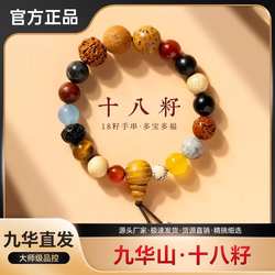 九华山文玩好物十八子菩提旅游纪念男女款手串盘灵隐多宝手串佛珠