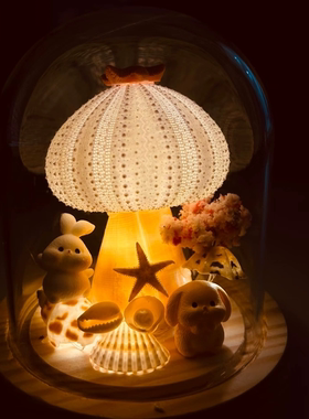 大连青岛 手工海胆灯 小夜灯成品定制 海螺海星 贝壳伴手礼 包邮