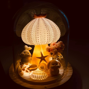 包邮 大连青岛 贝壳伴手礼 海螺海星 手工海胆灯 小夜灯成品定制