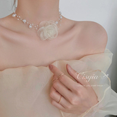 珍珠颈链choker春天轻奢小众花朵项链女锁骨链2025新款 高级感 爆款