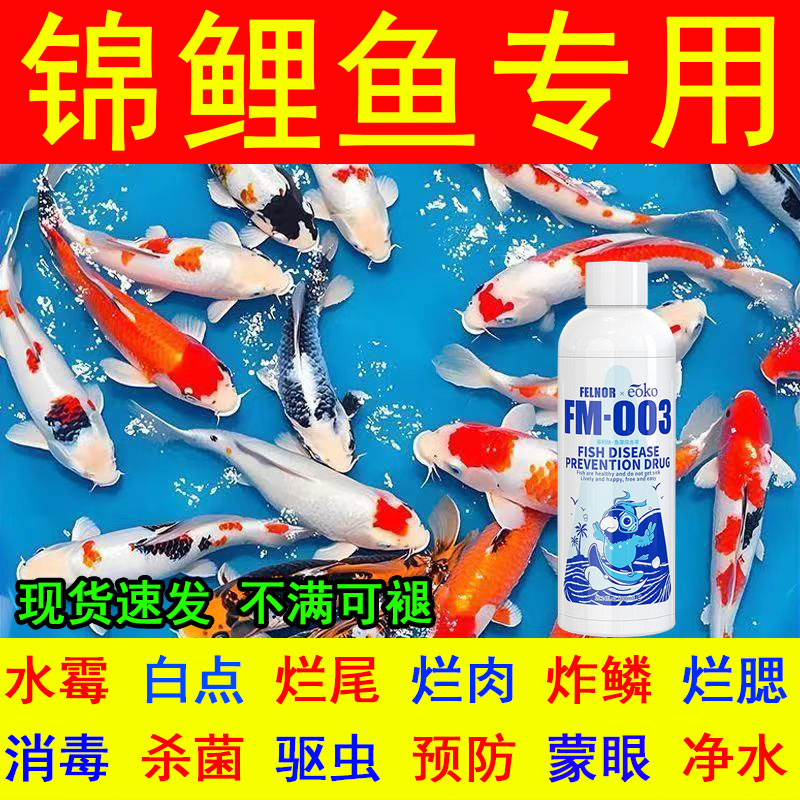 锦鲤鱼病专用药治疗白点霉烂尾身观赏鱼烂尾烂身寄生虫万特效能药