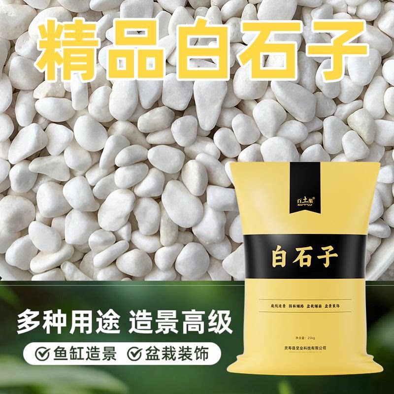 多肉铺面白色石头50斤白石子养花盆栽铺面石庭院室内造景观白石子